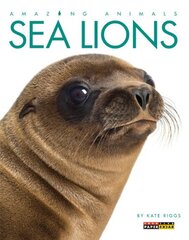 Living Wild: Sea Lions