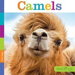 Living Wild: Camels